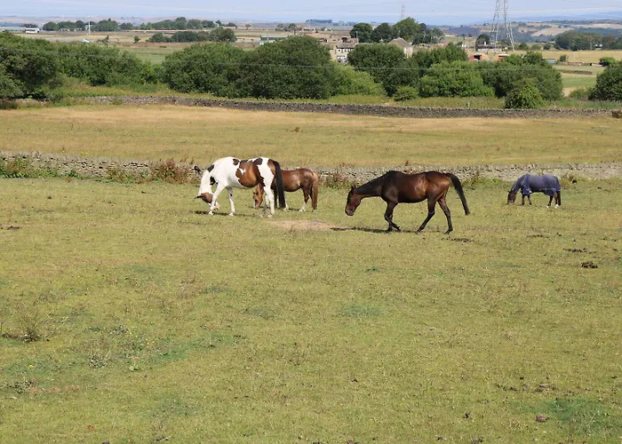 West End House Holiday home